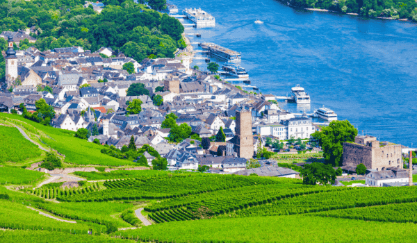 Rhine River Cruise