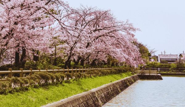 Kyoto, Japan