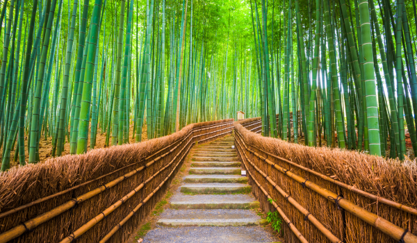 Kyoto, Japan